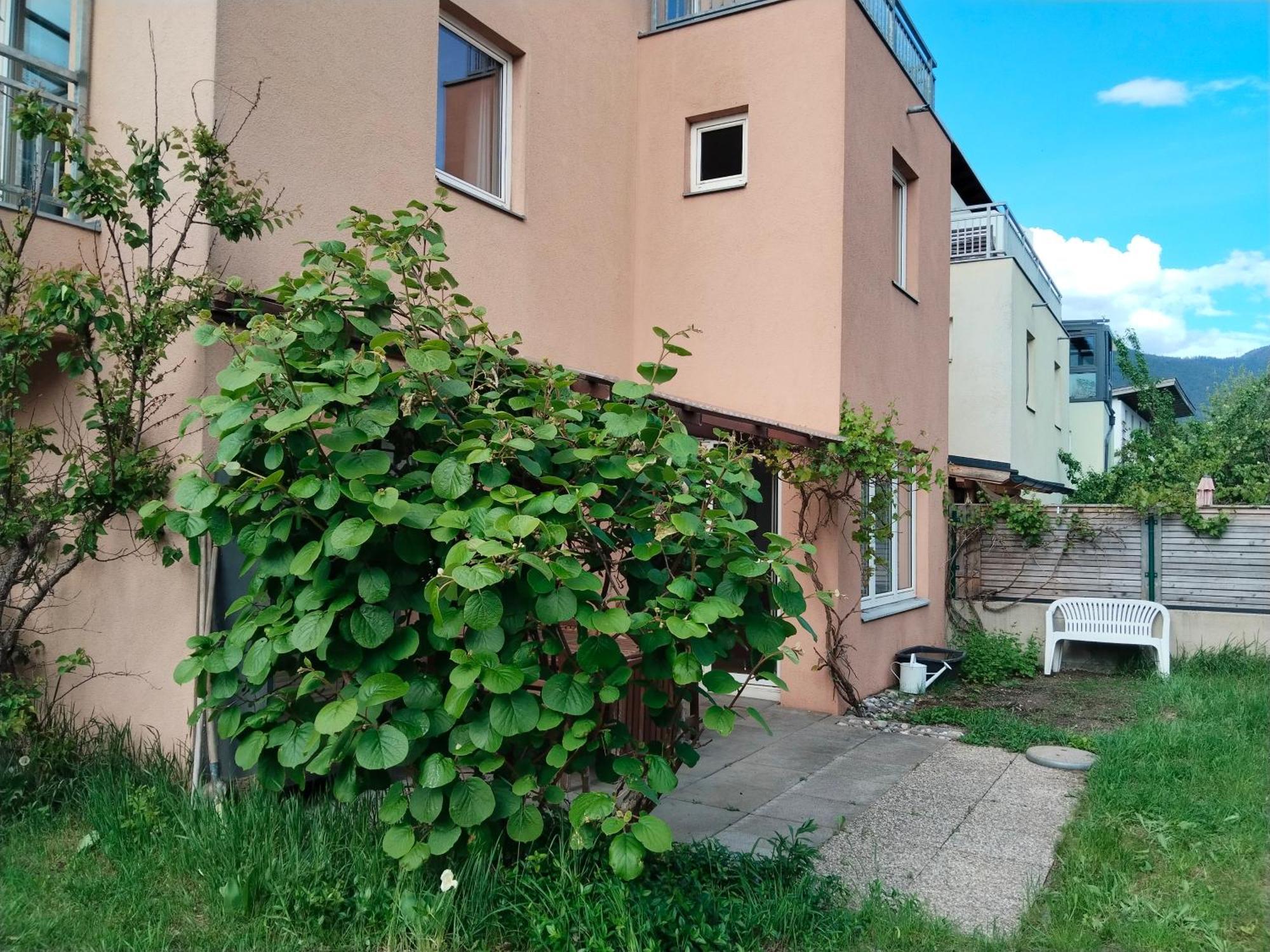 Telfer Treasure: Unkomplizierter Familienurlaub 泰尔夫斯 外观 照片
